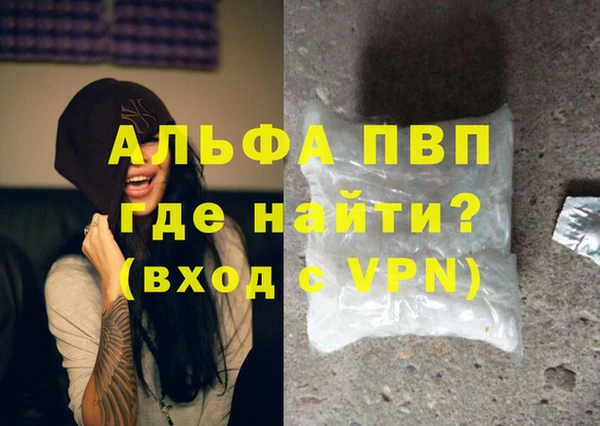 PSILOCYBIN Магас