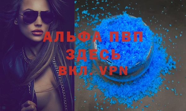 PSILOCYBIN Магас